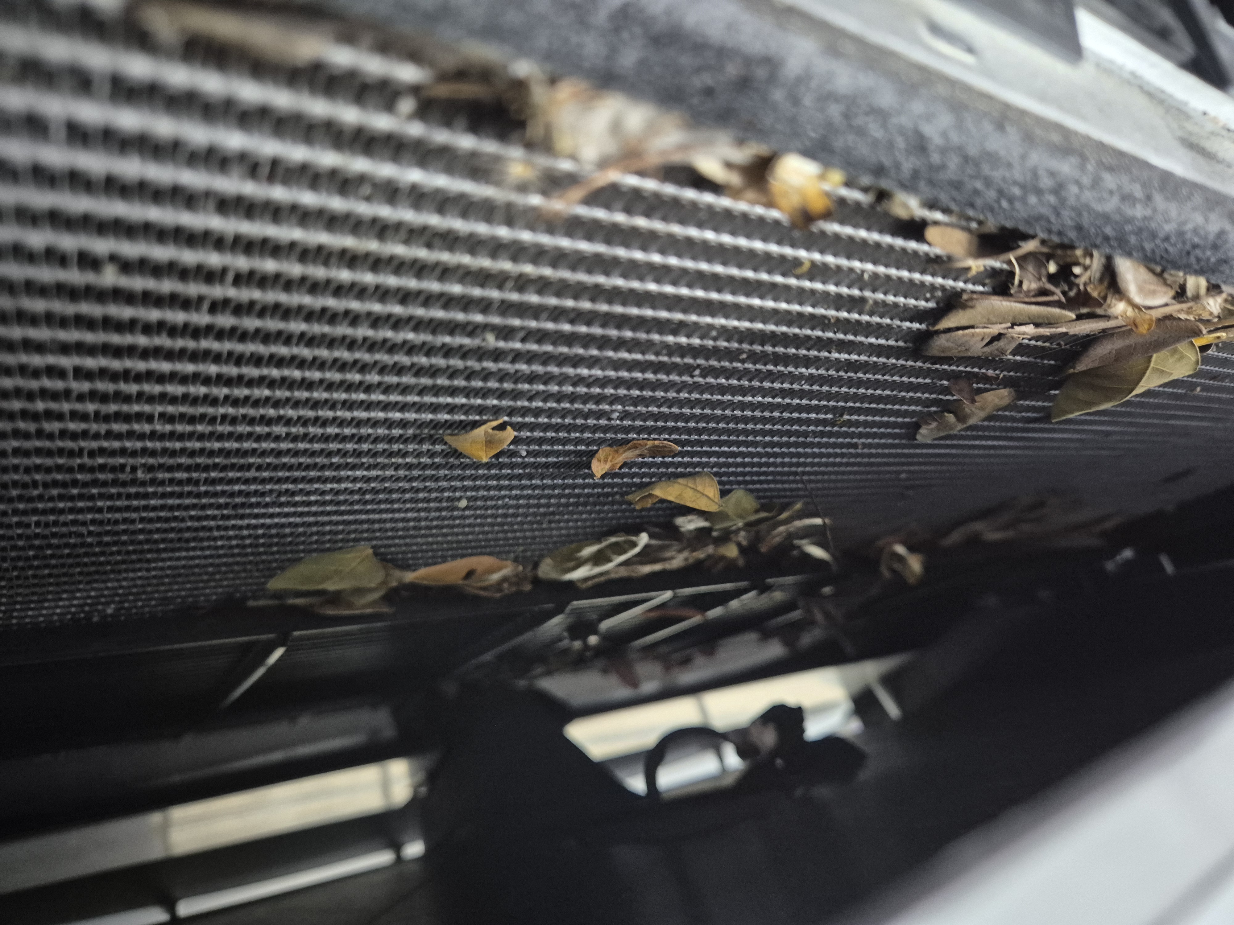 Tesla maintenance Singapore cabin filter wiper control arm radiator cleaning