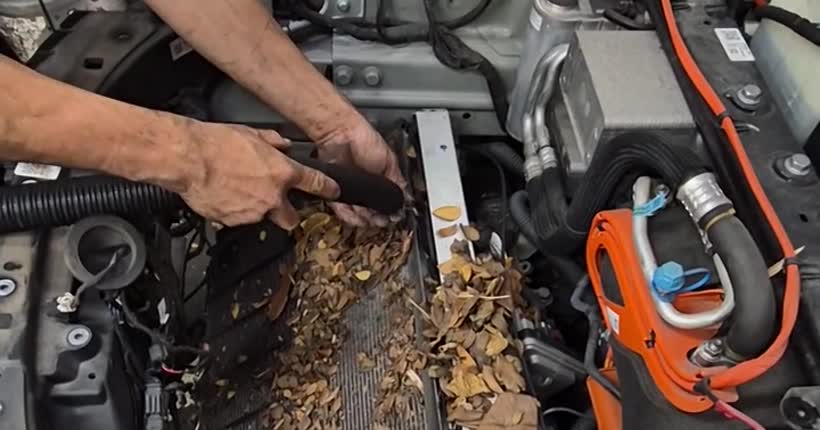 Tesla Radiator & Heat Exchanger Cleaning Singapore: The Hidden Maintenance Every Owner Misses — Edwin Garage Singapore